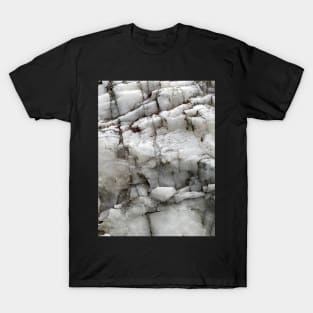 Old Stone Wall T-Shirt